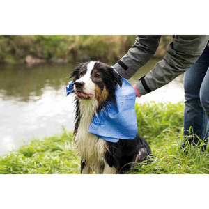 Toalla para Perros Trixie, 66 x 43 cm, Extremadamente Absorbente - Product Image 4