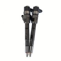 0445110511/ 0 445 110 511 Inyector de Combustible Common Rail de Alto Rendimiento, Piezas de Repuesto Probadas de Calidad Estable