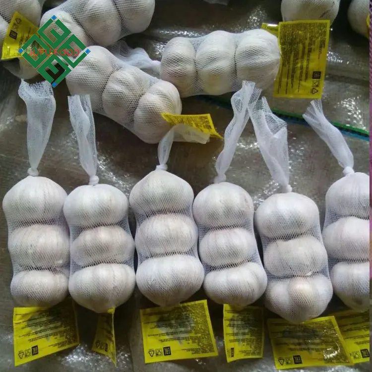 Wholesale new fresh garlic supplier normal white garlic alho manufacturer good quality jin xiang ajo