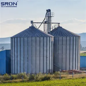 Hot Selling 2024 Overzeese Installatie Service 500 Ton 1000 Ton 3000 Ton Staalsilo Graan Tarwe Maïs Strore Silo