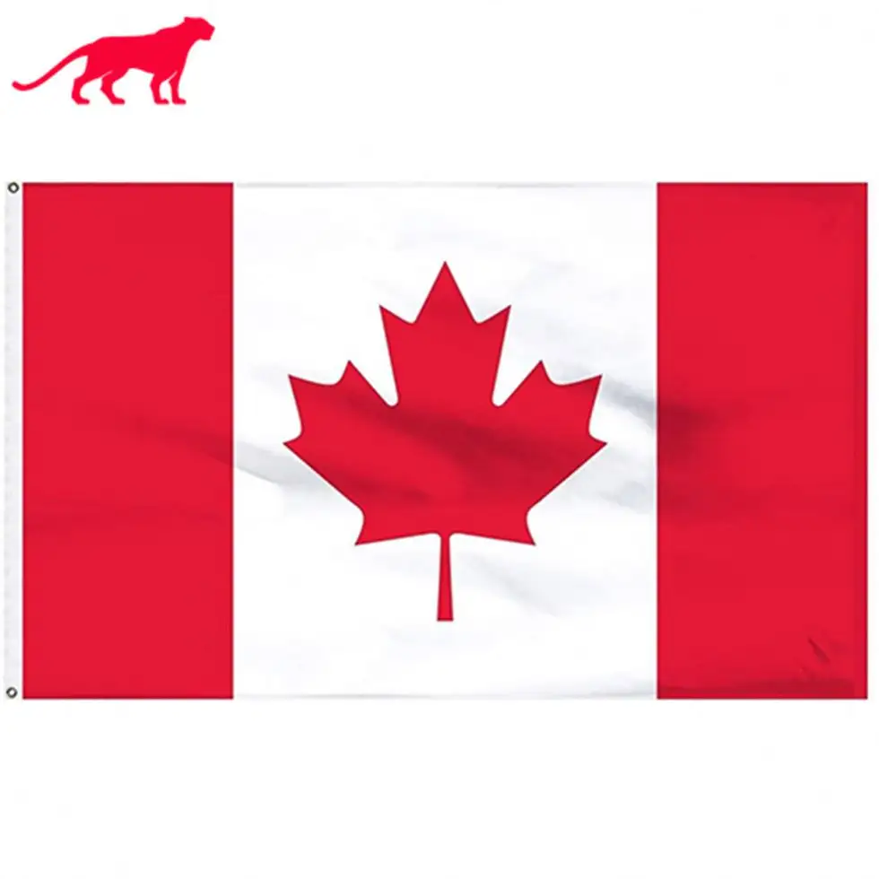 Custom Size All Countries Of The World Hand Flag Canada National Day Table Banner China Factory Canada Promotion Flying Flag