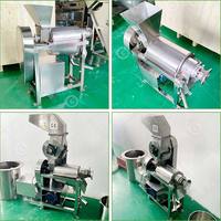 Cashew Appel Industriële Koudgeperste Sap Citroenen Aloë Vera Gember Fruitverwerkings Sapmachine