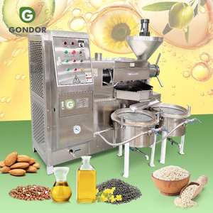 Presse à vis industrielle pour graines, mini-presse à huile de ricin, machine de traitement, prix en Afrique du Sud - Product Image 1