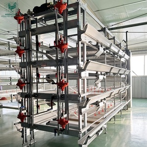 Equipo de cría de aves de corral duradero galvanizado en caliente tipo H nuevo automático batería de pollos de engorde jaula cinturón de limpieza de estiércol <span class=keywords><strong>para</strong></span> - Product Image 5