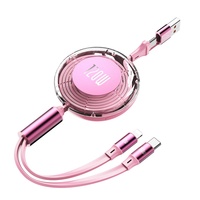 Câble rétractable de charge super rapide 120W, cordon de chargeur multiple 2 en 1 avec USB-C et L, portable sans enchevêtrement pour IPhone/Android