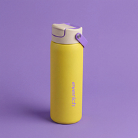 Bouteille d'eau isotherme en acier inoxydable avec couvercle à clapet et paille, anti-fuite, sans BPA, réutilisable, isolation thermique 12-24h pour adultes