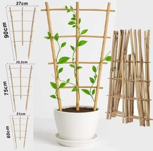 Fourniture en vrac Piquets en bambou pour usage agricole Fabricant de cannes de support de plantes traitées sur mesure - Product Image 5