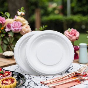 Hot bán tùy chỉnh dùng một lần Vòng mía khay bột giấy thân thiện với môi phân hủy sinh học bã mía tấm cho các bên - Product Image 5