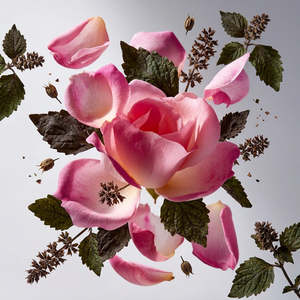 Divain 889 For Her Eau De Parfum, Fragranza Floreale, Profumo da Donna, Intensità Moderata, Formato da Viaggio - Product Image 2