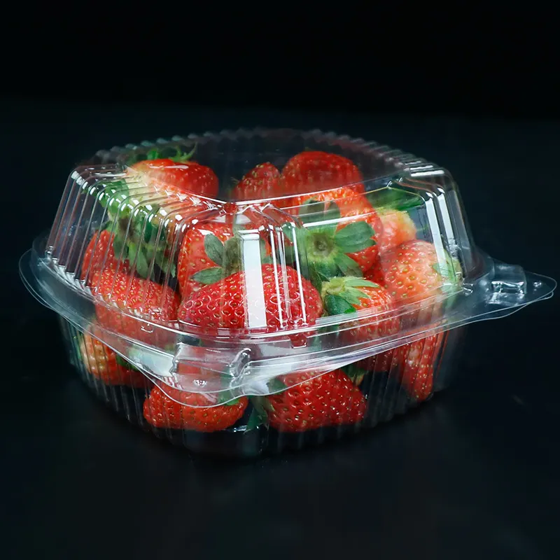 과일 샐러드 포장 트레이 상자 뚜껑이있는 플라스틱 일회용 테이크 아웃 용기 일회용 케이크 용기