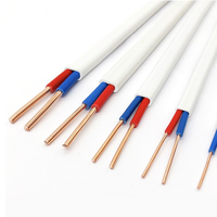 Kabel Pemanas Rumah Berisolasi PVC Pipih Berlapis Tembaga 2 Inti Fleksibel Lunak BVVB RVV 2*2.5 300/500 450/750V Putih Tanah