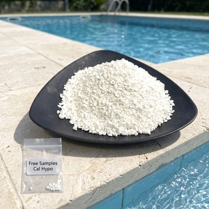 Agua limpia y transparente para piscinas: Requiere <span class=keywords><strong>cloro</strong></span> granular en cubos - Product Image 1