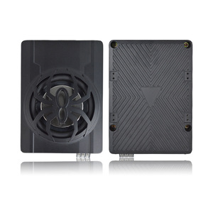 Subwoofer para Auto Spider de 6 Pulgadas, 800W, Amplificador Activo Bajo Asiento, Salida de Audio Mono, Control Remoto - Product Image 5
