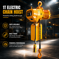 Palans à chaîne électriques triphasés 380V de 1 tonne à prix d'usine pour entrepôt et ligne de production