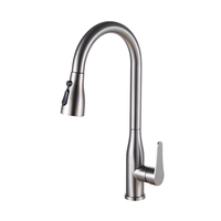 SANIVITAL Meilleure Vente Robinet de Cuisine Monocommande en Acier Inoxydable avec Douchette Extensible, à Poser sur Plan, à Trou Unique, pour Intérieur