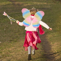 Ensemble de costume pour petites filles, ailes de papillon en nylon, baguette magique, ailes d'ange, ailes de fée, pour déguisements et jeux de rôle