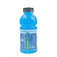 Fabricant de boissons électrolytiques 500ml, prix de gros, échantillon gratuit, marque privée, OEM, ODM, boisson énergétique fonctionnelle