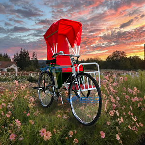New Classic Ancient Passenger Electric Rickshaw Two-wheeled Canopy <b>Pedal</b> Old-fashioned Solid Rubber Tires 3K Painted Sale - Product Image 1