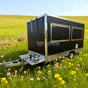 Low Energy Consumption Electric Food Truck <b>Lockable</b> <b>Storage</b> <b>Cabinets</b> Mobile Cart For Multi-purpose Outdoor Catering Service - Product Image 4