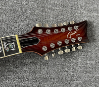 Gitar Elektrik Profesional Grote GT12Strings, Body Mahogany, Neck Maple, Fingerboard Rosewood, 22 Fret, Pickup H-H, Finishing Varnish