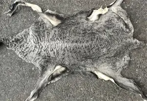 Karakul 양고기 피부 아스트라한 아기 양가죽 Pelts 고품질 아프가니스탄 Karakul 양고기 모피 플레이트 페르시아 Lambskin