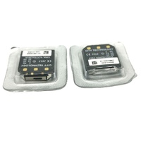Capteur de Combustion Catalytique LEL City MICROPEL 75C SR-W-MP75C pour Détecteur de Gaz BW GasAlertMicroClip XT X3 en Stock