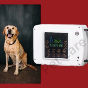 Оптовая продажа, высокочастотный цифровой стоматологический рентгеновский аппарат, индивидуальная портативная система панорамной визуализации, ветеринарное диагностическое оборудование - Product Image 3