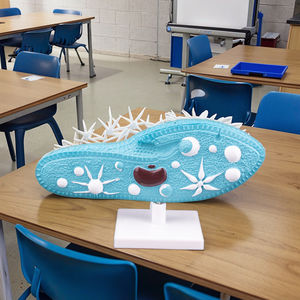 Modello di <span class=keywords><strong>cellula</strong></span> del paramecio di insegnamento della biologia 3D con il nuovo materiale plastico dei capelli - Product Image 5