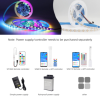 Tira de Luces LED Flexible WS2812B SK6812, Direccionable, Programable, Inteligente, DC5V USB, Luces Decorativas para Exteriores, Personalizables, Impermeables, Venta al Por Mayor