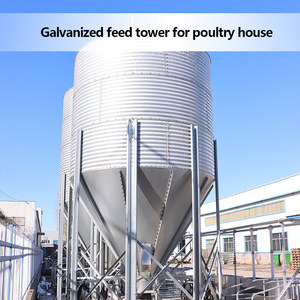Attrezzature per allevamento di bestiame e pollame, pollame e attrezzature per allevamento di polli, sistema di alimentazione automatica - Product Image 4