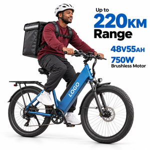 Bicicleta Eléctrica de Reparto C55, 48V55Ah, 80Nm de Torque, Bicicleta Eléctrica de Carga, OEM, ODM, Logotipo Personalizado para Envíos Express - Product Image 1