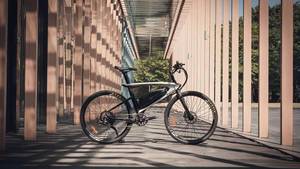 <span class=keywords><strong>Bicicleta</strong></span> de Montaña de Ratán Challenger 2023, 48V 500W, Fabricada por un Fabricante Profesional de Bicicletas Eléctricas - Product Image 6