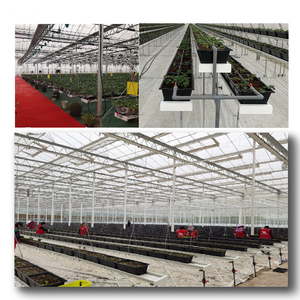 Systèmes <span class=keywords><strong>de</strong></span> culture <span class=keywords><strong>de</strong></span> fraise/laitue/fleur/herbe dans l'agriculture <span class=keywords><strong>de</strong></span> ferme hydroponique <span class=keywords><strong>de</strong></span> serre - Product Image 2