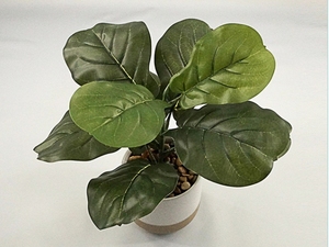 Cây xanh nhân tạo trang trí cây cảnh nhân tạo trong chậu cây nhỏ cây thủy sinh cây nhện cọ Dương Xỉ trang trí nhà sang trọng - Product Image 6