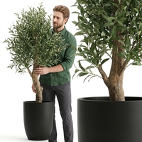 Grand Olivier Artificiel Réaliste de 2,4 m – Plante Méditerranéenne Faux Cèdre avec Tronc en Plastique Résistant aux UV, Écologique et Durable, Ignifuge