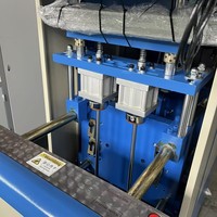 Grande machine de soufflage semi-automatique à 2 cavités pour bouteilles PET de 5L, 380V 10KW, pour huiles comestibles et jus