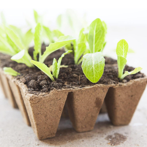 Taille personnalisée multi-grille compostable pâte à papier jardin <span class=keywords><strong>fleur</strong></span> légumes plantes écologique pâte à papier <span class=keywords><strong>pot</strong></span> <span class=keywords><strong>de</strong></span> <span class=keywords><strong>fleur</strong></span> pots <span class=keywords><strong>de</strong></span> tourbe - Product Image 5