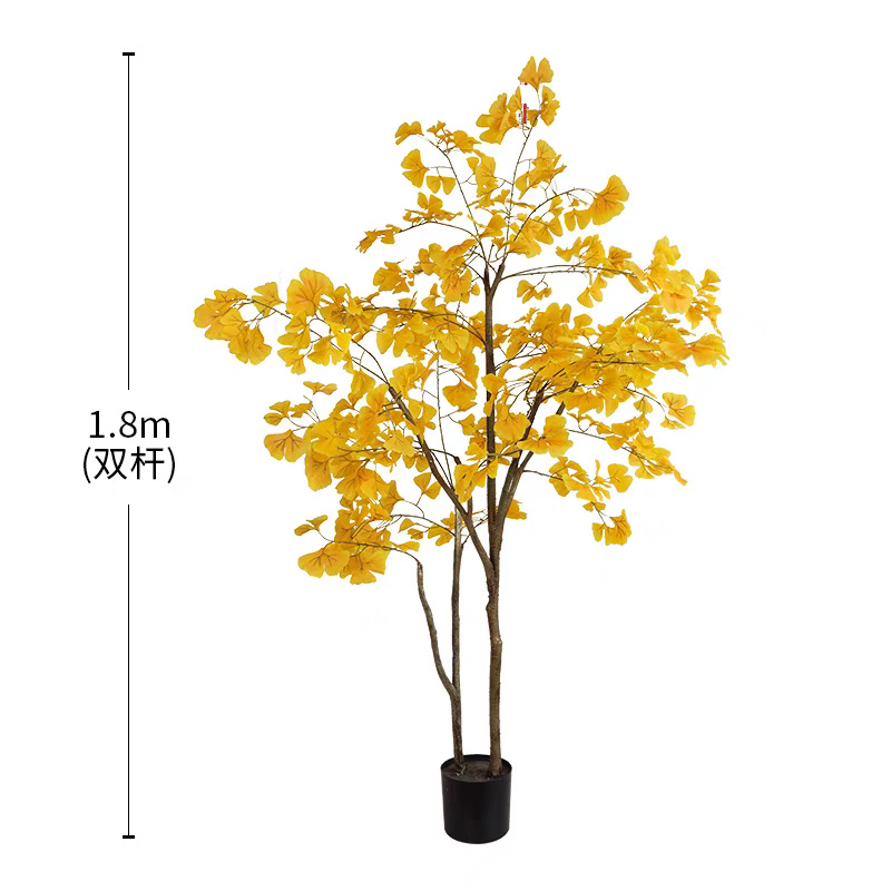 Arbre ginkgo de 180 cm à double tige.