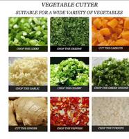 Nueva Trituradora de Vegetales Multiusos de Acero Inoxidable, Máquina para Picar Repollo, Zanahoria y Pasto para Alimento de Aves de Corral y Pequeñas Granjas