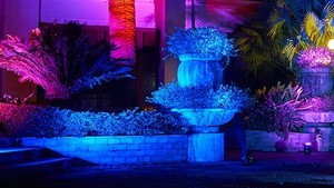 Wireless DMX512 Wifi 4x20W Waterproof LED Wash Par Stage Light Battery Powered RGBWAUV Led Uplights for <strong>DJ</strong> Park Wedding Event - Product Image 6