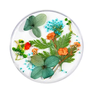 OEM tırnak aksesuarları preslenmiş 24 renk 3D gerçek doğa karışık kurutulmuş çiçekler tırnak sanat dekorasyon için