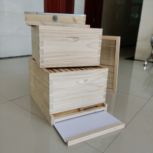 La apreciada colmena de 10 cuadros estilo australiano para la cría de abejas - Product Image 4