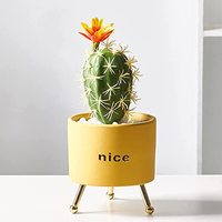 Pot de plante en céramique pour succulentes en dropshipping, 4,5 pouces, jardinières, petit récipient pour cactus, pour table, rebord de fenêtre, chevet, jardin