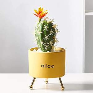 Pot de plante en céramique pour succulentes en dropshipping, 4,5 pouces, jardinières, petit récipient pour <span class=keywords><strong>cactus</strong></span>, pour table, rebord de fenêtre, chevet, jardin - Product Image 2