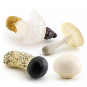 Kit di Apprendimento Precoce per Bambini, Modelli Realistici di Funghi in Miniatura, Giocattoli Statici a Tema Vegetale con Shiitake e Funghi Ostrica - Product Image 5