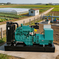 Groupe électrogène diesel 75 kW 93 kVA de type ouvert alimenté par Cummins avec AVR pour ferme et station de pompage d'eau