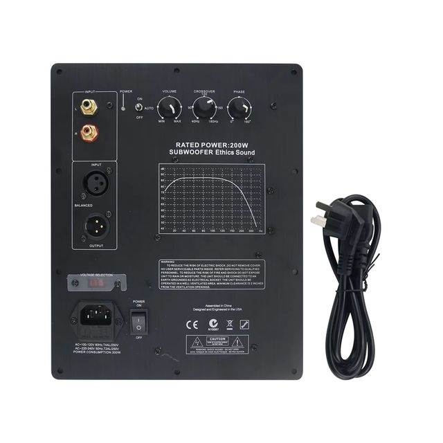 GGDX Theater Audiophile Subwoofer Amplifier Board Plate Amp Ethics Sound Rated 200W Output