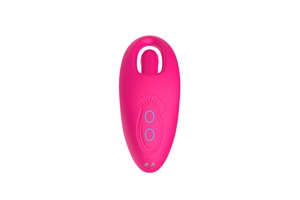Yüksek kalite 10-Mode uzaktan kumanda Mini gül vibratör USB Powered giyilebilir külot Clit g-spot stimülatör yapay penis vibratör - Product Image 4