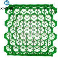 Moule en plastique alvéolé emboîtable en PEHD pour pavés, grille de pavage pour gazon, drainage de parking, garantie 5 ans