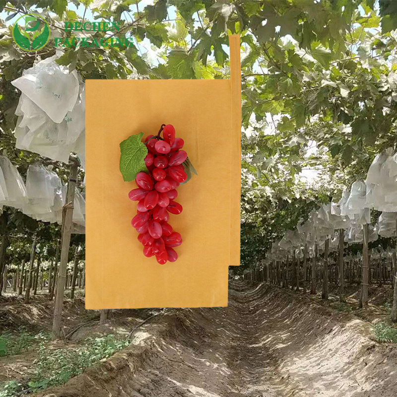תיק מגן ענבים לחקלאות בפרו צ'ילה